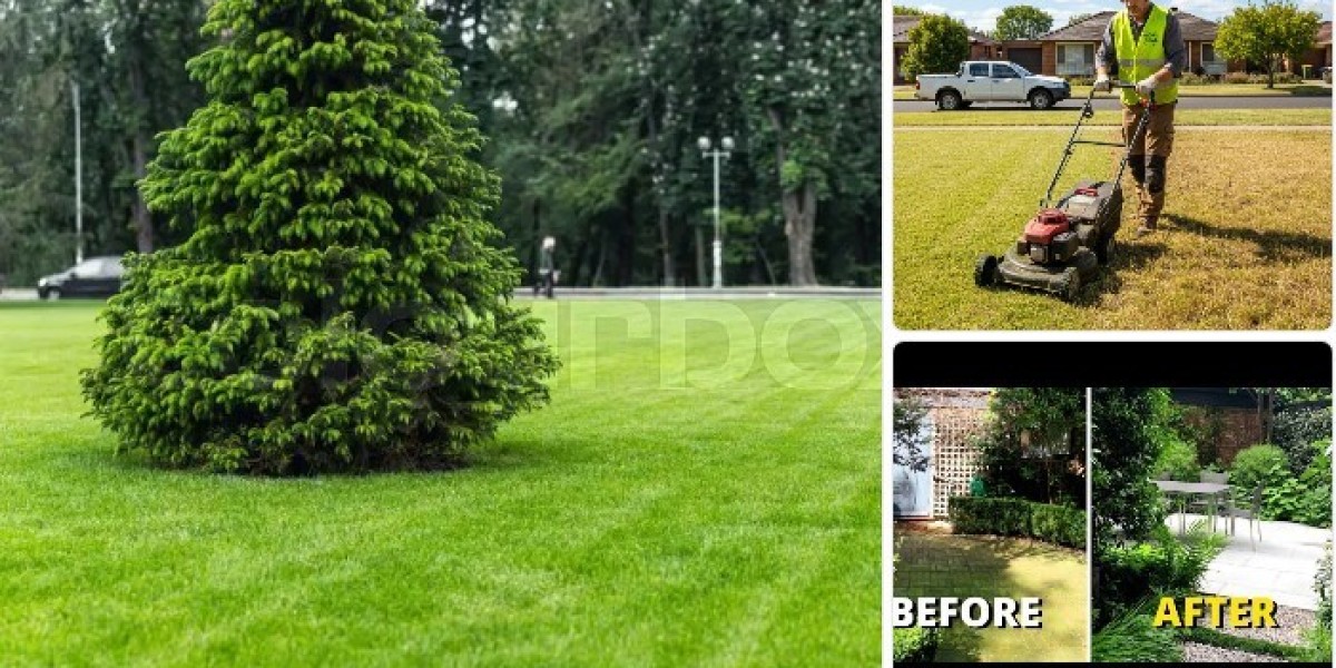 Professional Garden Maintenance Maroubra for a Perfect Outdoor Space