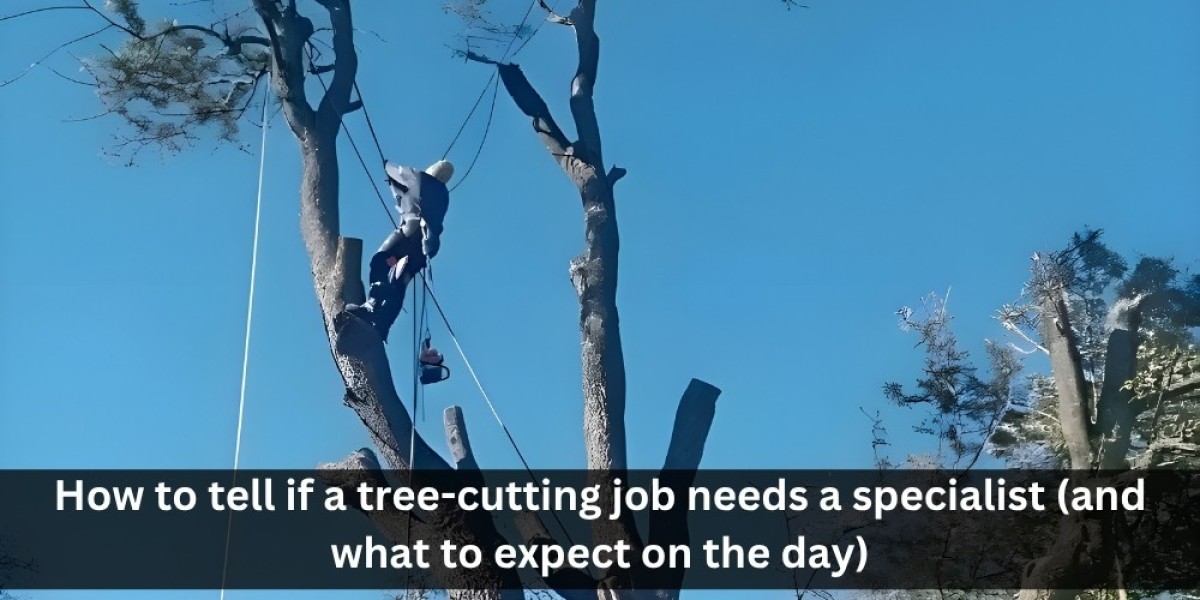 How to tell if a tree-cutting job needs a specialist (and what to expect on the day)