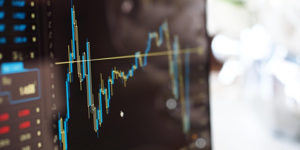 Investing in Yourself: A Practical Guide to Professional Growth Through Self-Funded Learning