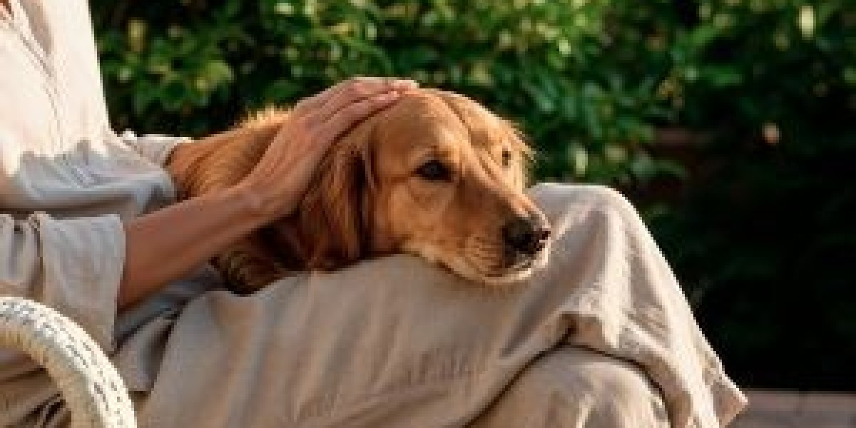 Benefits of Choosing In-Home Euthanasia for NYC Pets