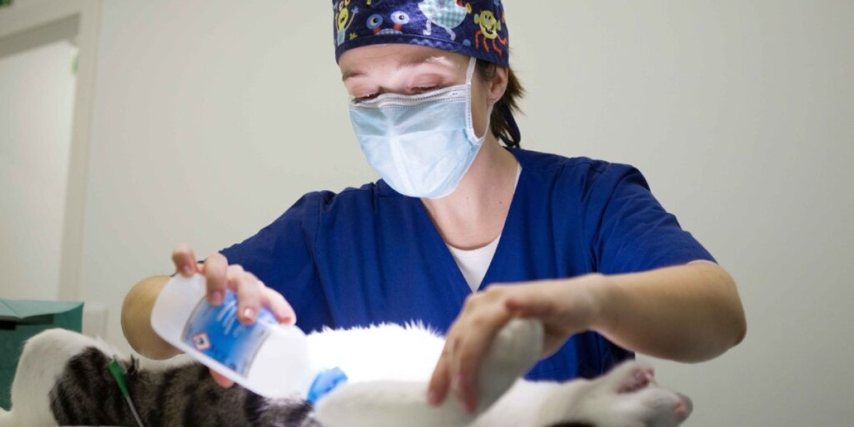 How to Find Cheap Pet Emergency Care Without Compromising Quality  