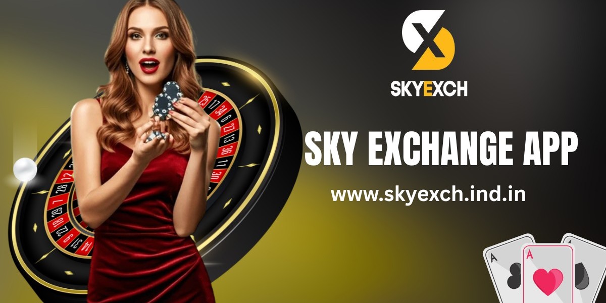 Sky Exchange App Features: Fast Access and User-Friendly Flow