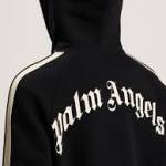 angels palm