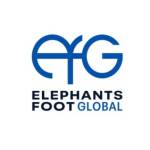 Elephants Foot UAE