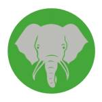 Elephant Trunk Moving Supplies